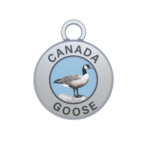 Canada Goose Image