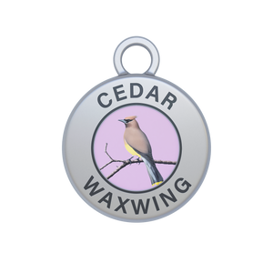 Cedar Waxwing Image