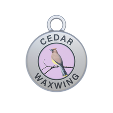 Cedar Waxwing Image