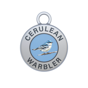 Cerulean Warbler Image