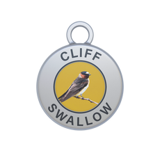 Cliff Swallow Image