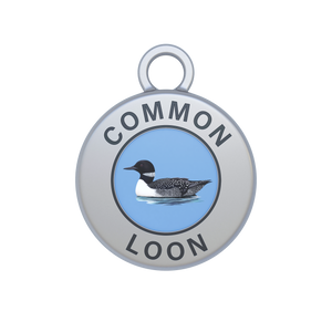 Common Loon Image