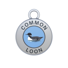 Common Loon Image