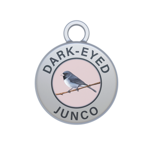 Dark-eyed Junco Image
