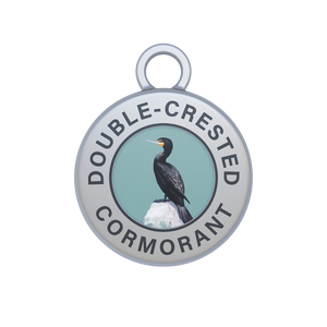 Double-crested Cormorant Image