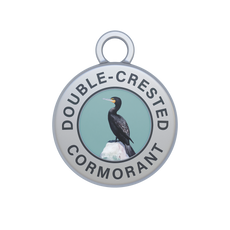 Double-crested Cormorant Image