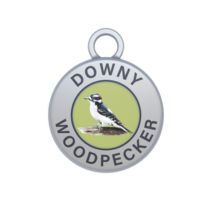 Downy Woodpecker Image