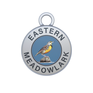 Eastern Meadowlark Image