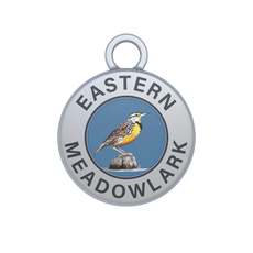 Eastern Meadowlark Image
