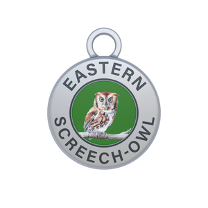 Eastern Screech-Owl Image