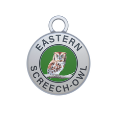 Eastern Screech-Owl Image