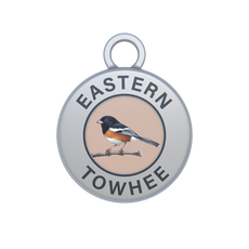 Eastern Towhee Image