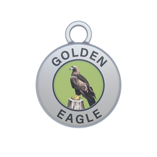 Golden Eagle Image