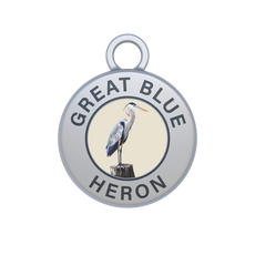 Great Blue Heron Image