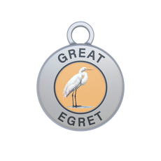 Great Egret Image