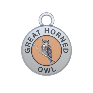 Great Horned Owl Image