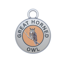Great Horned Owl Image