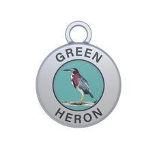 Green Heron Image