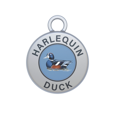 Harlequin Duck Image