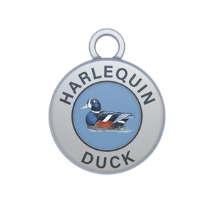 Harlequin Duck Image