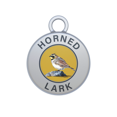 Horned Lark Image