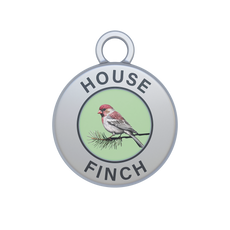 House Finch Image
