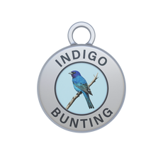 Indigo Bunting Image