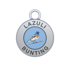 Lazuli Bunting Image