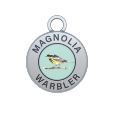 Magnolia Warbler Image