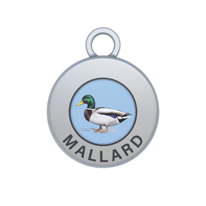 Mallard Image