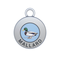 Mallard Image