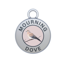 Mourning Dove Image