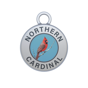 Northern Cardinal Image