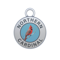 Northern Cardinal Image