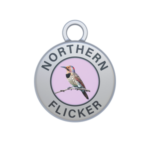 Northern Flicker Image