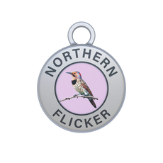 Northern Flicker Image