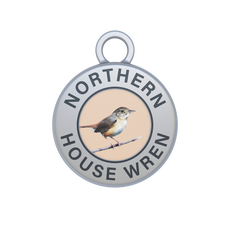 House Wren Image