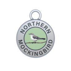 Northern Mockingbird Image