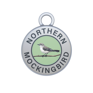 Northern Mockingbird Image