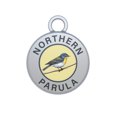 Northern Parula Image