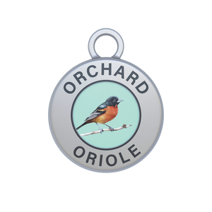 Orchard Oriole Image