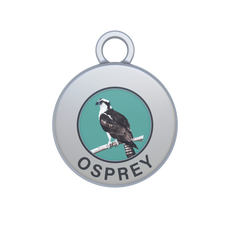 Osprey Image