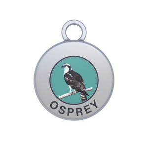 Osprey Image