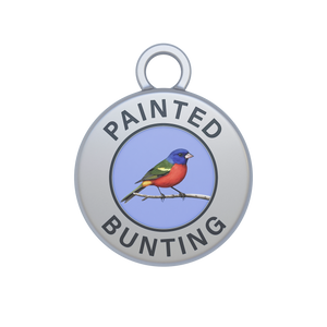 Painted Bunting Image
