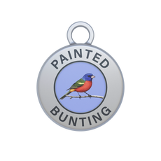 Painted Bunting Image