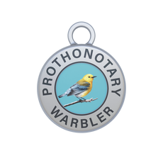 Prothonotary Warbler Image