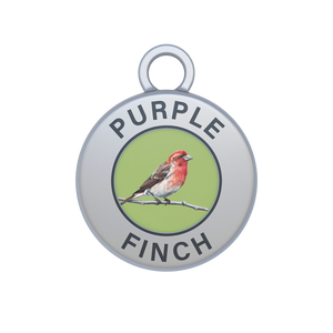 Purple Finch Image