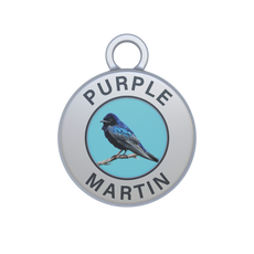 Purple Martin Image