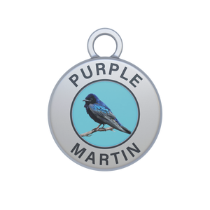Purple Martin Image