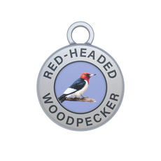 Red-headed Woodpecker Image